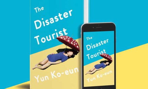 Disaster Tourist graphic